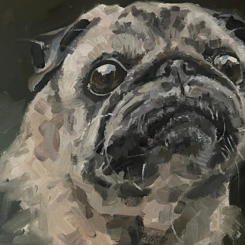 Oil painting portrait of a pug