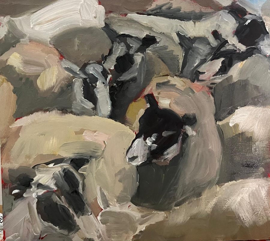 Oil painting of a flock of sheep packed closely together